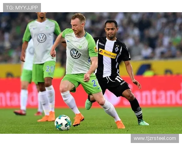 德甲狼堡作为保级球队的表现及未来竞争力分析 德甲狼堡作为保级球队的表现及未来竞争力分析