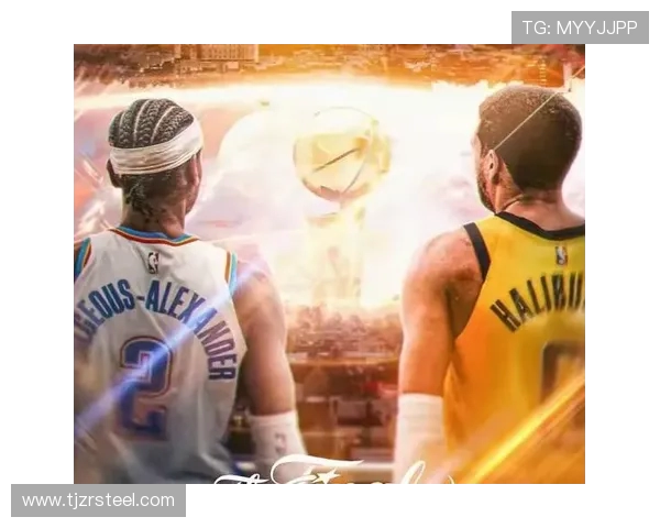 猛龙NBA队史与2019年总冠军回顾 .