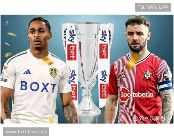 英冠联赛中哪些球队成功升级进入英超? 英冠联赛中哪些球队成功升级进入英超?