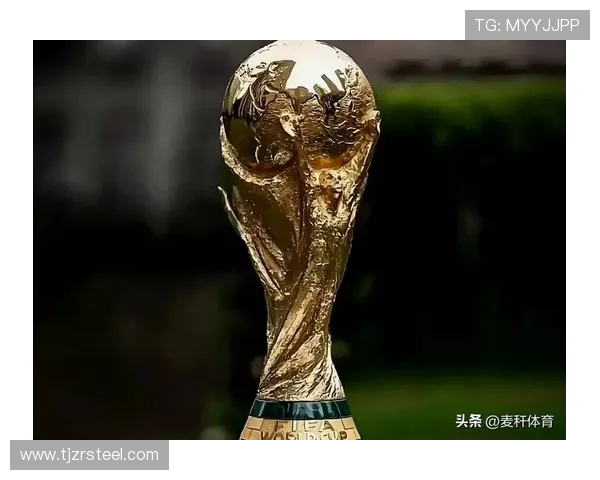 聚焦2030年世界杯申办愿景与全球体育格局新变局未来发展蓝图