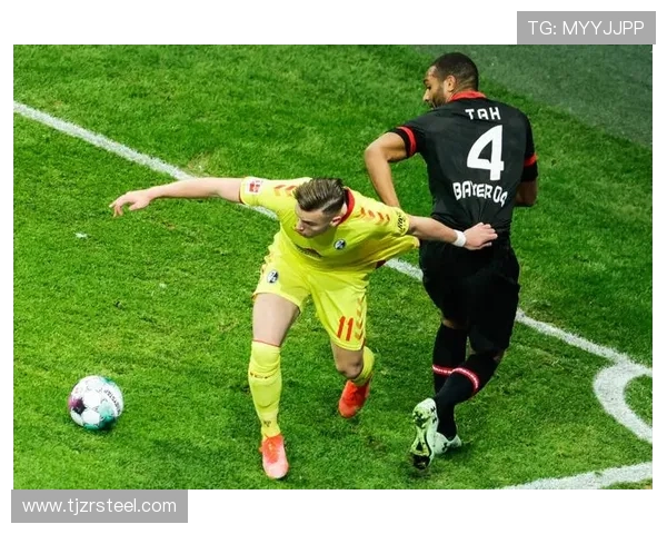 辽宁足球队借鉴德甲模式的实践与成效分析