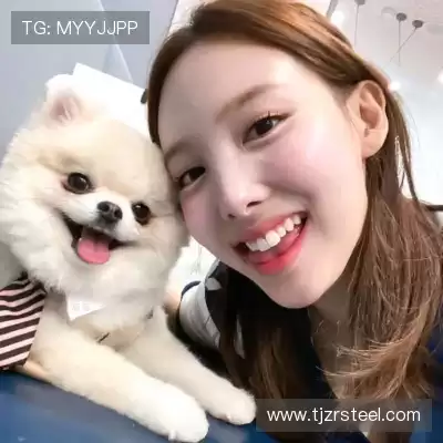 朱晶丹